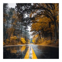 Πίνακας σε καμβά Savgone pakoworld ψηφιακής εκτύπωσης 50x1 8x50εκ c478147 Πίνακας σε καμβά Savgone pakoworld ψηφιακής εκτύπωσης 50x1 8x50εκ c478147