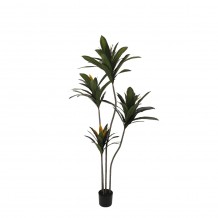 EDGE IRON ΤΕΧΝΗΤΟ ΦΥΤΟ ΣΕ ΓΛΑΣΤΡΑ PVC ΤΣΙΜΕΝΤΟ ΠΡΑΣΙΝΟ ΜΑΥΡΟ H180cm c482324