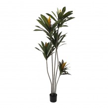 EDGE IRON ΤΕΧΝΗΤΟ ΦΥΤΟ ΣΕ ΓΛΑΣΤΡΑ PVC ΤΣΙΜΕΝΤΟ ΠΡΑΣΙΝΟ ΜΑΥΡΟ H200cm c482325