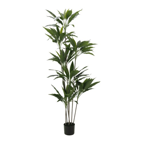 VELVET TREE ΤΕΧΝΗΤΟ ΦΥΤΟ ΣΕ ΓΛΑΣΤΡΑ PVC ΤΣΙΜΕΝΤΟ ΠΡΑΣΙΝΟ ΜΑΥΡΟ H160cm c482328