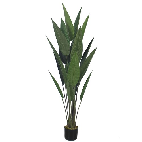 PARADISE BIRD ΤΕΧΝΗΤΟ ΦΥΤΟ ΣΕ ΓΛΑΣΤΡΑ POLYESTER ΠΡΑΣΙΝΟ H160cm c482528