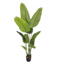 BANANA ΤΕΧΝΗΤΟ ΦΥΤΟ ΣΕ ΓΛΑΣΤΡΑ PEVA ΠΡΑΣΙΝΟ H180cm c482529