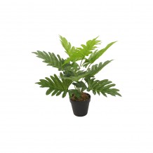 PHILODENDRON ΤΕΧΝΗΤΟ ΦΥΤΟ ΣΕ ΓΛΑΣΤΡΑ PEVA ΠΡΑΣΙΝΟ H45cm c482538