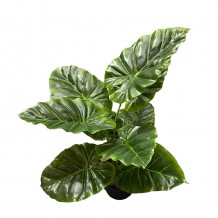 TARO ΤΕΧΝΗΤΟ ΦΥΤΟ ΣΕ ΓΛΑΣΤΡΑ PEVA ΠΡΑΣΙΝΟ H35cm c482539