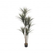 YUCCA ΤΕΧΝΗΤΟ ΦΥΤΟ ΣΕ ΓΛΑΣΤΡΑ PE ΠΡΑΣΙΝΟ H190cm c482542