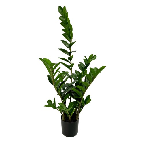 ZAMIA ΤΕΧΝΗΤΟ ΦΥΤΟ ΣΕ ΓΛΑΣΤΡΑ ΥΦΑΣΜΑ PVC ΠΡΑΣΙΝΟ H85CM c482550