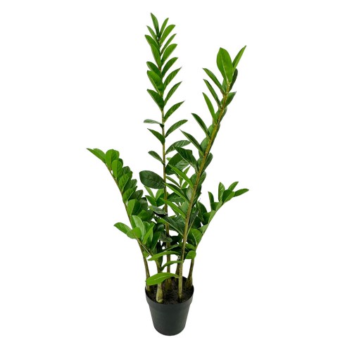 ZAMIA ΤΕΧΝΗΤΟ ΦΥΤΟ ΣΕ ΓΛΑΣΤΡΑ ΥΦΑΣΜΑ PVC ΠΡΑΣΙΝΟ H95CM c482551