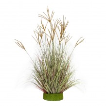 DRAGON BEARD ΤΕΧΝΗΤΟ ΦΥΤΟ ΣΕ ΓΛΑΣΤΡΑ PVC ΠΡΑΣΙΝΟ ΜΟΥΣΤΑΡΔΙ H90CM c482562