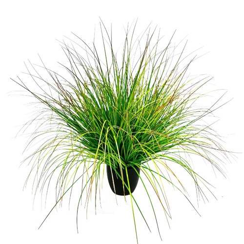 BENT GRASS ΤΕΧΝΗΤΟ ΦΥΤΟ ΣΕ ΓΛΑΣΤΡΑ PVC ΠΡΑΣΙΝΟ H90CM c482569