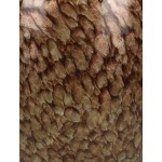 Βάζο ArteLibre Καφέ Γυαλί 18x18x17 5cm c487367