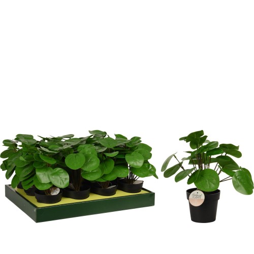 Φυτό Τεχνητό ArteLibre Pilea 25cm Μαύρο Σε Μαύρο Γλαστράκι 98x85mm c487687