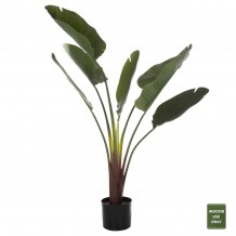 ΔΙΑΚΟΣΜΗΤΙΚΟ ΣΥΝΘΕΤΙΚΟ ΦΥΤΟ HM7981 ΣΤΡΕΛΙΤΣΙΑ ΣΕ ΓΛΑΣΤΡΑ Φ17x14 5-137Y εκ c488268