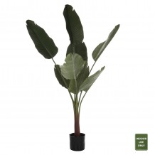 ΔΙΑΚΟΣΜΗΤΙΚΟ ΣΥΝΘΕΤΙΚΟ ΦΥΤΟ HM7982 ΣΤΡΕΛΙΤΣΙΑ ΣΕ ΓΛΑΣΤΡΑ Φ17x14 5-150Yεκ c488269