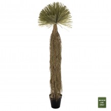 ΔΙΑΚΟΣΜΗΤΙΚΟ ΣΥΝΘΕΤΙΚΟ ΦΥΤΟ HM7974 SCARECROW ΣΕ ΓΛΑΣΤΡΑ 220Υεκ c488271