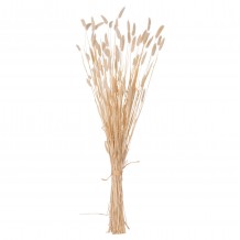 ΔΙΑΚΟΣΜΗΤΙΚΟ ΜΠΟΥΚΕΤΟ ΑΠΟΞΗΡΑΜΕΝΟ HM7959 RABBIT TAIL- CREAM 50gr 76Υεκ c488390