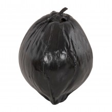 ΕΠΙΤΡΑΠΕΖΙΟ ΔΙΑΚΟΣΜΗΤΙΚΟ HM4326 02 ΚΑΡΥΔΑ ΣΕ ΜΑΥΡΟ ΧΡΩΜΑ 20x20x20Υεκ c488639