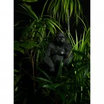 GORILLA BERINGEI ΔΙΑΚΟΣΜΗΤΙΚΟ ΓΟΡΙΛΑΣ 33x23x39 POLYRESIN ΜΑΥΡΟ ΜΑΤ c492787