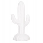 ΔΙΑΚΟΣΜΗΤΙΚΟΣ ΚΑΚΤΟΣ ΔΑΠΕΔΟΥ CACTUS HM4386 02S MDF ΣΕ ΛΕΥΚΟ 42x30x74Υεκ c495713
