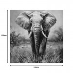Πίνακας σε καμβά Elepho Inart 100x3x100εκ c497260
