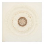 Πίνακας σε καμβά Circled Inart 80x3x80εκ c497266