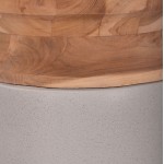 ΔΙΑΚΟΣΜΗΤΙΚΟ ΒΑΖΟ ΔΑΠΕΔΟΥ LINTER HM4662 03S FIBER CEMENT ΓΚΡΙ--ΞΥΛΟ ΤΕΑΚ Φ34x60Υεκ c498330
