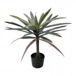 Διακοσμητικό φυτό Dracaena palm σε γλάστρα Inart πράσινο pp Υ62εκ c500095
