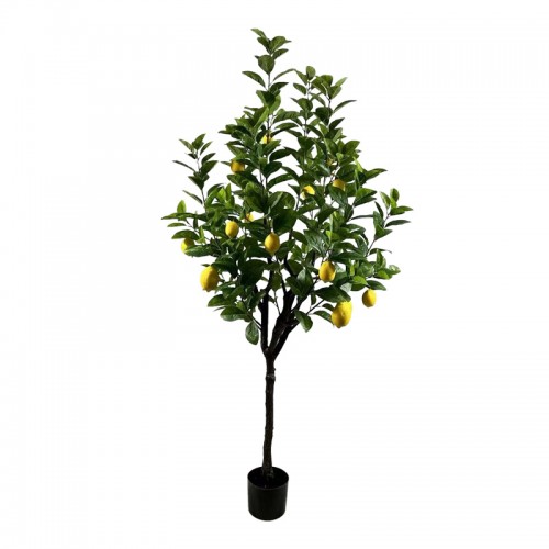 Διακοσμητικό φυτό Lemon tree σε γλάστρα Inart πράσινο pp Υ180εκ c500100