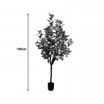 Διακοσμητικό φυτό Lemon tree σε γλάστρα Inart πράσινο pp Υ180εκ c500100