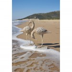 CALOR ΔΙΑΚΟΣΜΗΤΙΚΟ ΠΟΥΛΙ 21x9x31 POLYRESIN ΦΥΣΙΚΟ c500408