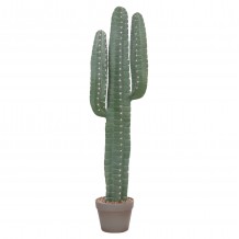 ΔΙΑΚΟΣΜΗΤΙΚΟ ΣΥΝΘΕΤΙΚΟ ΦΥΤΟ HM4742 ΚΑΚΤΟΣ ΜΕ ΓΛΑΣΤΡΑ 17 5x26x103Υεκ c500417