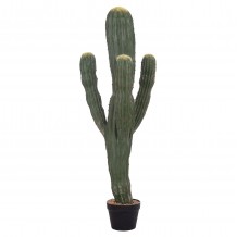 ΔΙΑΚΟΣΜΗΤΙΚΟ ΣΥΝΘΕΤΙΚΟ ΦΥΤΟ HM4746 ΚΑΚΤΟΣ ΜΕ ΓΛΑΣΤΡΑ 17 5x42x113Υεκ c500425