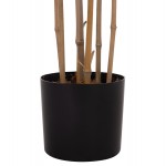 ΔΙΑΚΟΣΜΗΤΙΚΟ ΣΥΝΘΕΤΙΚΟ ΦΥΤΟ HM4736 BAMBOO ΣΕ ΓΛΑΣΤΡΑ 20x95x180Υεκ c500526