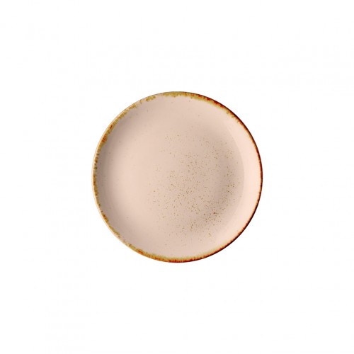 Πιάτο Ρηχό πορσελάνης coupe Φ21cm Σομόν σειρά Leon Fizz LUKANDA - Σετ 6 c500572