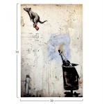 ΠΙΝΑΚΑΣ TOIXOY ΣΕΙΡΑ GOBI HM4826 ΕΚΤΥΠΩΜΕΝΟΣ ΚΑΜΒΑΣ 50x3 πάχος x70Yεκ c502290