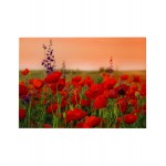 ΠΙΝΑΚΑΣ TOIXOY ΣΕΙΡΑ GOBI HM4760 ΕΚΤΥΠΩΜΕΝΟΣ ΚΑΜΒΑΣ 70x3 πάχος x50Υεκ c502298