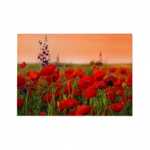 ΠΙΝΑΚΑΣ TOIXOY ΣΕΙΡΑ GOBI HM4760 ΕΚΤΥΠΩΜΕΝΟΣ ΚΑΜΒΑΣ 70x3 πάχος x50Υεκ c502298