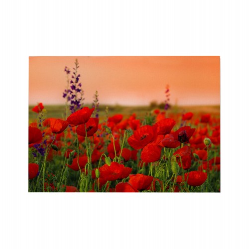 ΠΙΝΑΚΑΣ TOIXOY ΣΕΙΡΑ GOBI HM4760 ΕΚΤΥΠΩΜΕΝΟΣ ΚΑΜΒΑΣ 70x3 πάχος x50Υεκ c502298