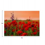 ΠΙΝΑΚΑΣ TOIXOY ΣΕΙΡΑ GOBI HM4760 ΕΚΤΥΠΩΜΕΝΟΣ ΚΑΜΒΑΣ 70x3 πάχος x50Υεκ c502298