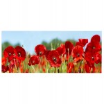 ΠΙΝΑΚΑΣ TOIXOY ΣΕΙΡΑ GOBI HM4786 ΕΚΤΥΠΩΜΕΝΟΣ ΚΑΜΒΑΣ 120x3 πάχος x50Υεκ c502312