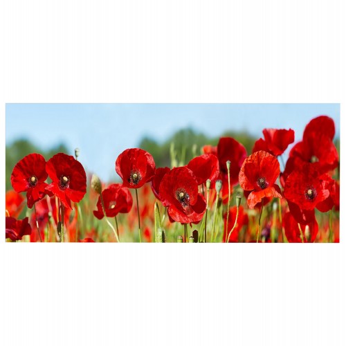 ΠΙΝΑΚΑΣ TOIXOY ΣΕΙΡΑ GOBI HM4786 ΕΚΤΥΠΩΜΕΝΟΣ ΚΑΜΒΑΣ 120x3 πάχος x50Υεκ c502312