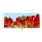 ΠΙΝΑΚΑΣ TOIXOY ΣΕΙΡΑ GOBI HM4786 ΕΚΤΥΠΩΜΕΝΟΣ ΚΑΜΒΑΣ 120x3 πάχος x50Υεκ c502312