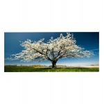 ΠΙΝΑΚΑΣ TOIXOY ΣΕΙΡΑ GOBI HM4792 ΕΚΤΥΠΩΜΕΝΟΣ ΚΑΜΒΑΣ 120x3 πάχος x50Υεκ c502315