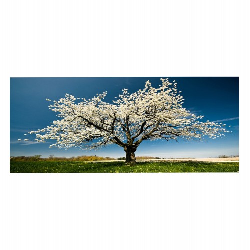 ΠΙΝΑΚΑΣ TOIXOY ΣΕΙΡΑ GOBI HM4792 ΕΚΤΥΠΩΜΕΝΟΣ ΚΑΜΒΑΣ 120x3 πάχος x50Υεκ c502315