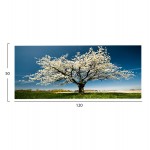 ΠΙΝΑΚΑΣ TOIXOY ΣΕΙΡΑ GOBI HM4792 ΕΚΤΥΠΩΜΕΝΟΣ ΚΑΜΒΑΣ 120x3 πάχος x50Υεκ c502315