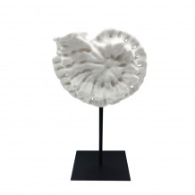 SHELL ΔΙΑΚΟΣΜΗΤΙΚΟ ΚΟΧΥΛΙ 20x11x36cm POLYRESIN ΑΣΠΡΟ ΜΑΥΡΟ ΜΕΤΑΛΛΟ c504268