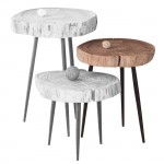 Pati Τραπεζάκι Σαλονιού Καθιστικού Μέταλλο Βαφή Μαύρο Ξύλο Ακακία Φυσικό c530568