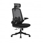 Πολυθρόνα Γραφείου Διευθυντή Mesh Μαύρο Ύφασμα Μαύρο c532588