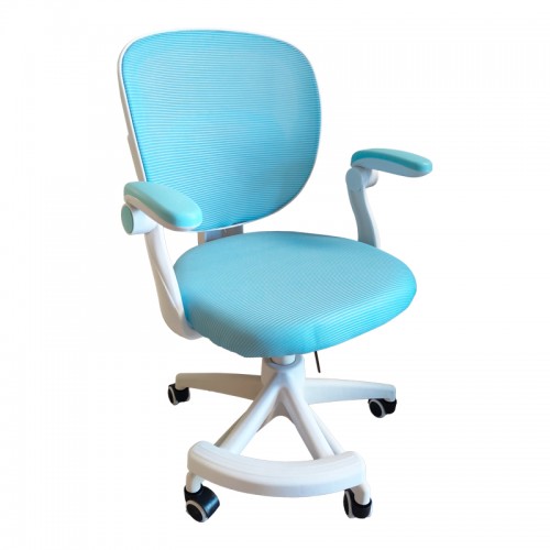 Καρέκλα γραφείου παδική Bernu pakoworld ύφασμα mesh σε σιελ απόχρωση 47x56x80-90εκ c534394