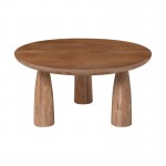 AZTEC Τραπεζάκι Σαλονιού- Καθιστικού Ξύλο Mango Απόχρωση Smoke Walnut c534835