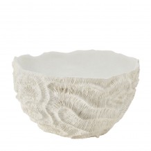 CORALLI ΜΠΩΛ ΔΙΑΚΟΣΜΗΣΗΣ 36x36x21 POLYRESIN ΛΕΥΚΟ c534899